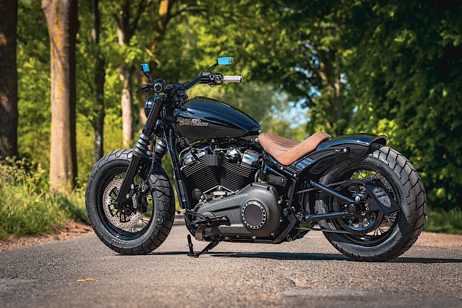 harley cruiser