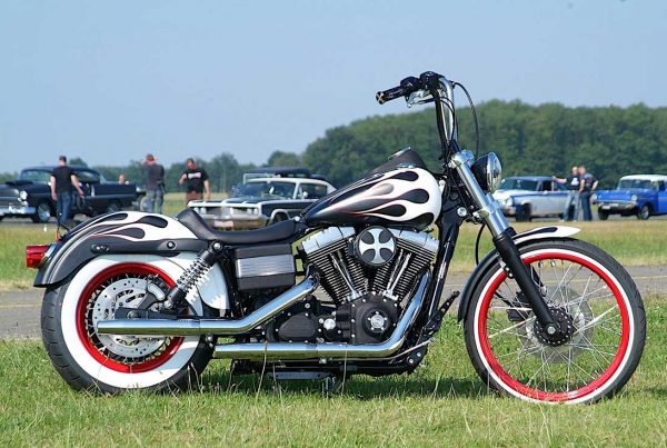 harley devils bike 750