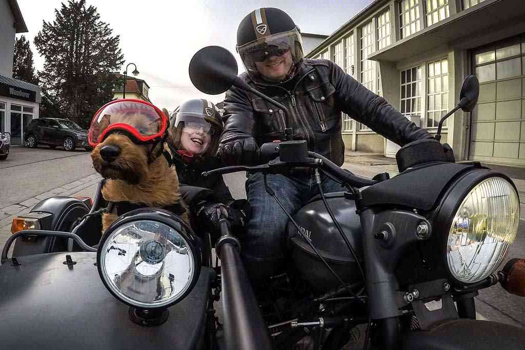 Can you Ride with a Pet on your Motorcycle? — Bikernet Blog - Online Biker Magazine