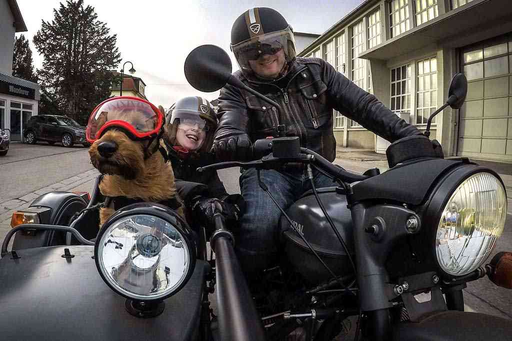 How To Carry A Dog On Motorcycle at Marilyn Coffey blog